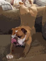 avatar photo small.webp avatar photo small.webp