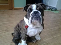 20130211_104222.webp