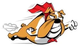 bullies2rescue (4).webp