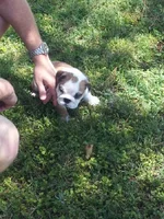20130629_115328.webp