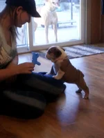 20130629_142002.webp