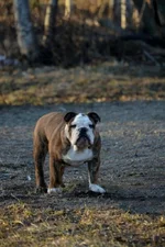 DSC_0284.webp DSC_0284.webp