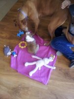 20130629_171657.jpg