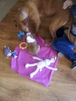 20130629_171657.webp