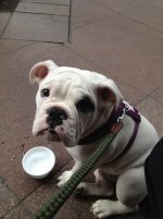 IMG_0382.jpg IMG_0382.jpg