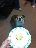 ImageUploadedByTapatalk1361667635.845375.webp