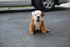 DSC_0137.jpg DSC_0137.jpg