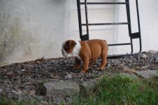 DSC_0133.jpg DSC_0133.jpg