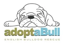 adoptaBull.webp