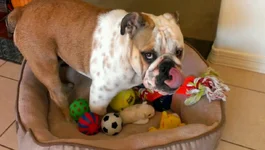 pic contest.webp