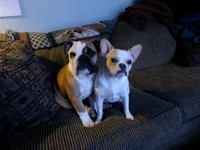 IMG_20130223_153731.webp