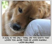 pup.JPG pup.JPG