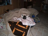DSCF0235.webp