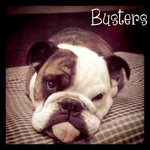 sleepy Bustyjpg.webp
