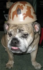 Dukeyboy 003.webp