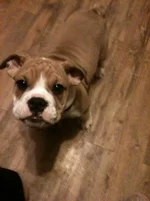 IPhone 022.webp