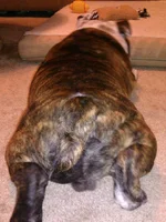 IMG_20120106_170301.webp