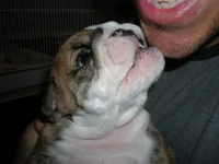 DSCN0621.webp