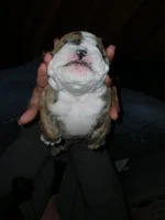 DSCN0624.webp