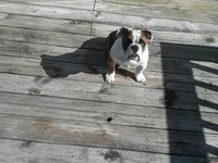 IMG007.webp