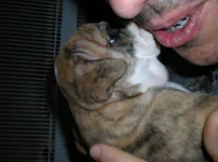 DSCN0627.webp