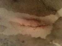IMG_0600[1].webp