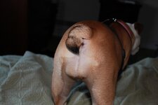 012.jpg
