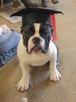 bruno_grad2.webp