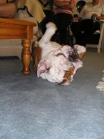 Christmas2005 048.webp