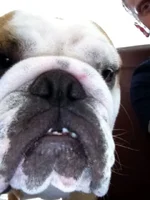 ImageUploadedByTapatalk1310076608.216780.webp