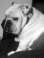 004.Bram.1.webp