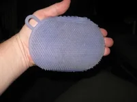 curry comb.webp