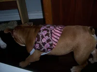 100_8334.webp