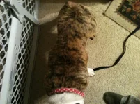 IMG_0631[1].webp