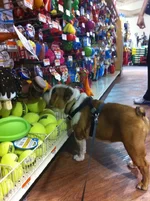 photo (1).webp