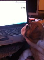 ImageUploadedByTapatalk1326126504.554737.jpg ImageUploadedByTapatalk1326126504.554737.jpg