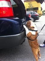 photo (2).webp