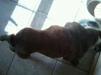 BeBe 2.webp
