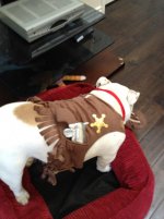 IMG_0065.jpg IMG_0065.jpg