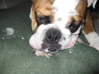 8-5-11 (1).webp