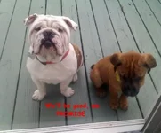 cute.webp
