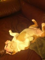 IMG_2637.jpg IMG_2637.jpg