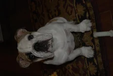 DSC_2359.webp