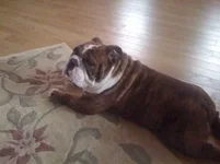 ImageUploadedByTapatalk1310337901.046350.webp