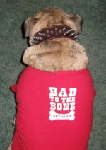 Dukeyboy bad to the bone 001.jpg