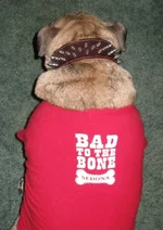 Dukeyboy bad to the bone 001.webp