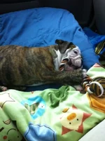 1st beau pic.webp