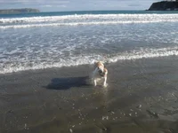 SDC10852.webp