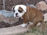 3-11-11 (1).webp
