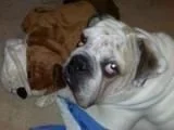 SargeandSarah.webp